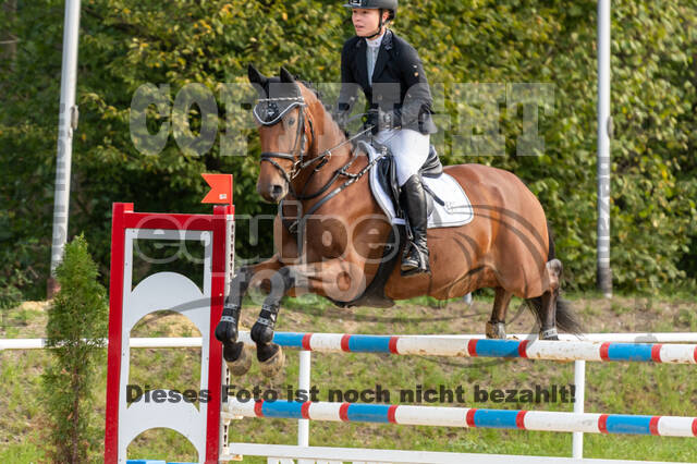 RFV Dinslaken-Hiesfeld (Herbstturnier)