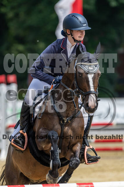 Goldene Schärpe 2021 - Ponys