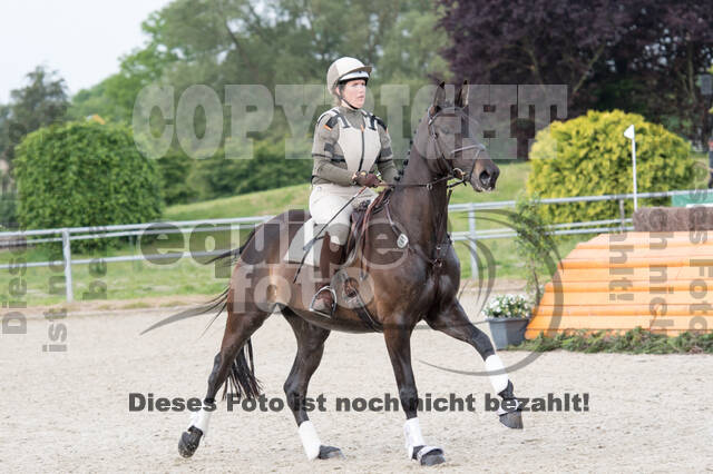 Eventing im Pferdesportzentrum Rheinland