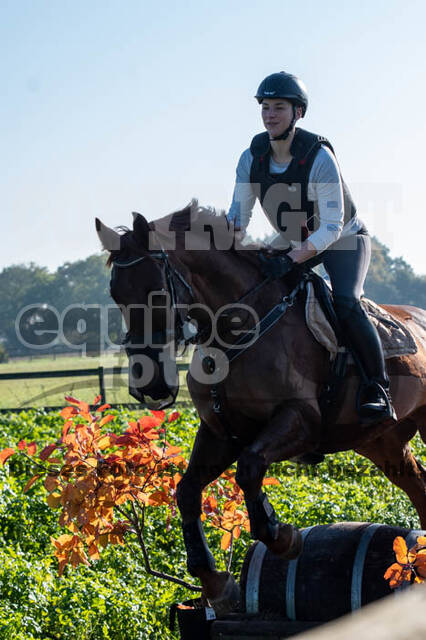 Vielseitigkeitslehrgang mit Jürg Kurbel (9.+10.11.2019)