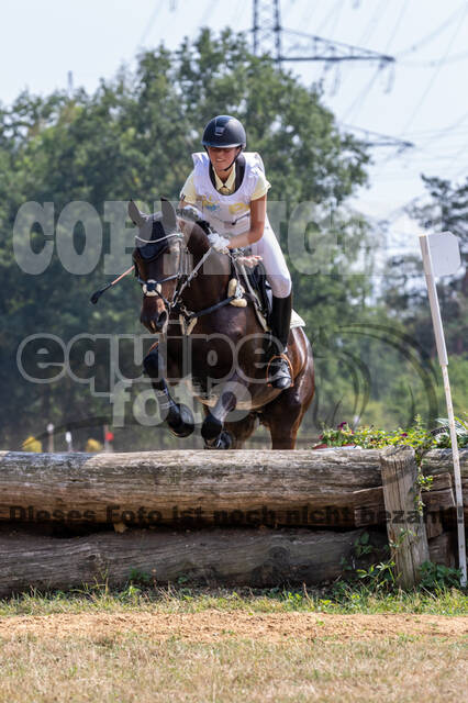 Late-Entry Vielseitigkeit Hamminkeln/Wesel (01.+02.08.2020)