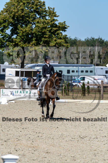 Kronenberg - De Peelbergen (August 2020)