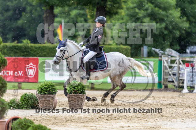 Goldene Schärpe 2021 - Ponys