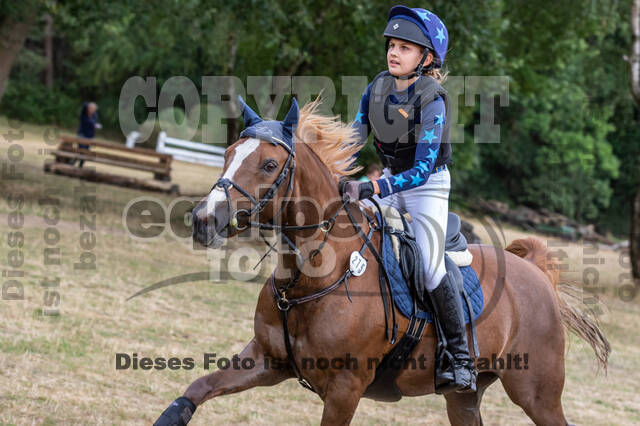 Late-Entry Vielseitigkeit Hamminkeln/Wesel (01.+02.08.2020)