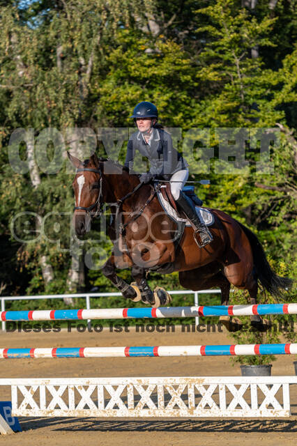 RFV Dinslaken-Hiesfeld (Herbstturnier)