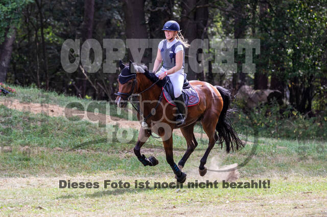 Late-Entry Vielseitigkeit Hamminkeln/Wesel (01.+02.08.2020)