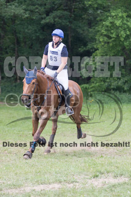 Vielseitigkeitsturnier ZRFV von Lützow Hamminkeln