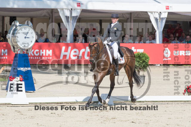 FEI European Championship Eventing 2017