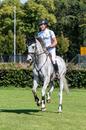 Kronenberg - De Peelbergen (August 2020)