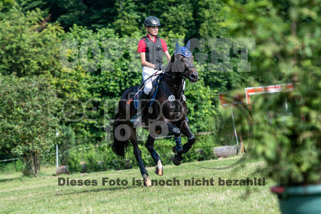 Goldene Schärpe 2021 - Ponys