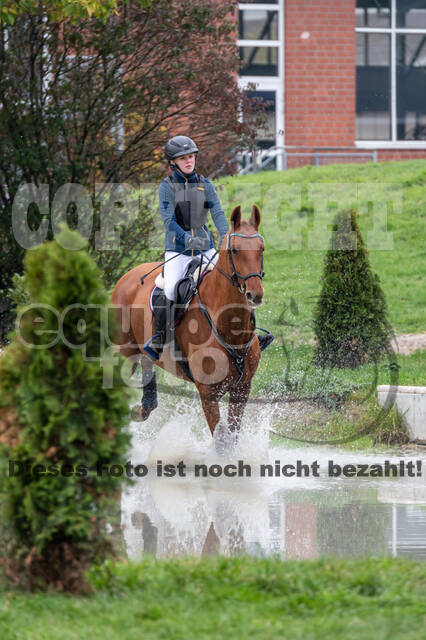 Goldene Schärpe 2020 - Pferde