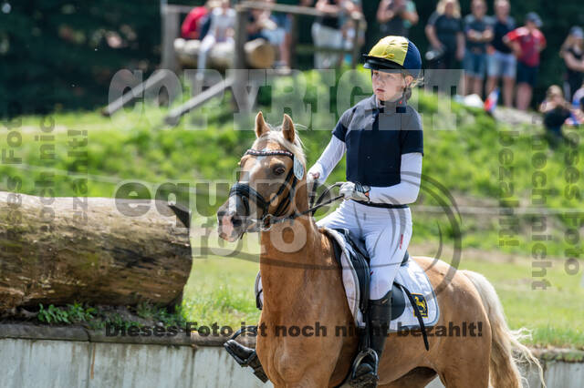 Goldene Schärpe 2021 - Ponys