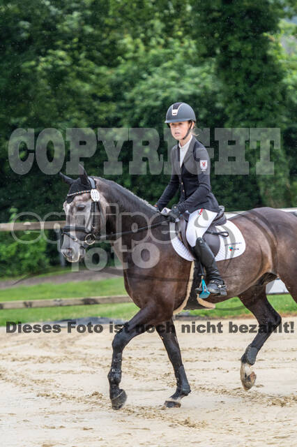 Goldene Schärpe 2021 - Ponys