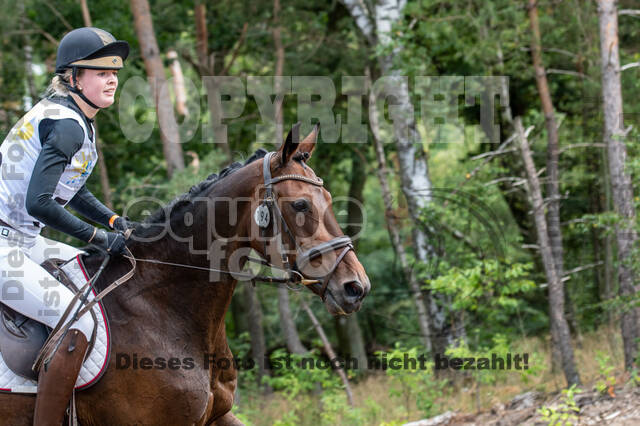 Late-Entry Vielseitigkeit Hamminkeln/Wesel (01.+02.08.2020)