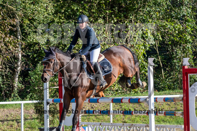 RFV Dinslaken-Hiesfeld (Herbstturnier)