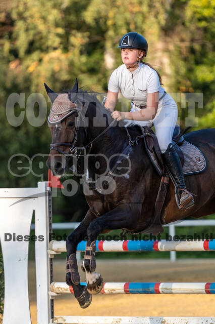 RFV Dinslaken-Hiesfeld (Herbstturnier)
