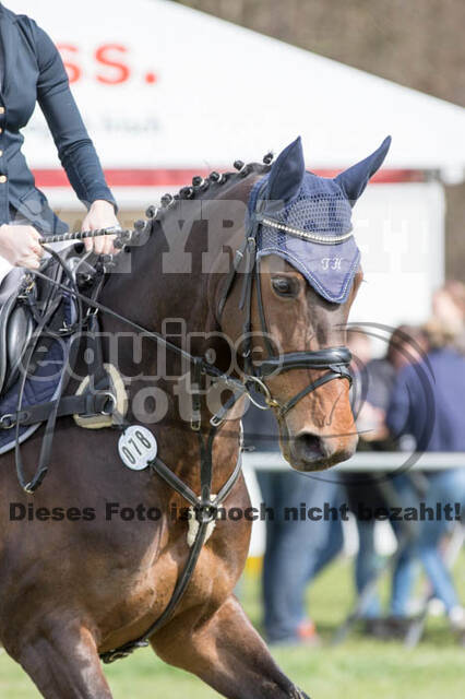 Frühjahrsvielseitigkeit RV Seydlitz Kamp