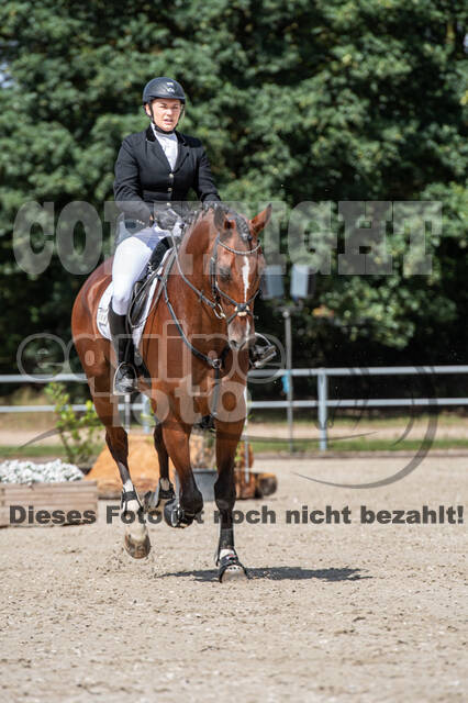 Landesturnier Rheinland, Vielseitigkeit, 22.+23.08.2020