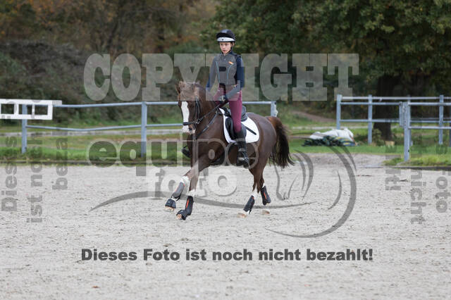 IGV Lehrgang der Sieger der Cups mit Frank Ostholt