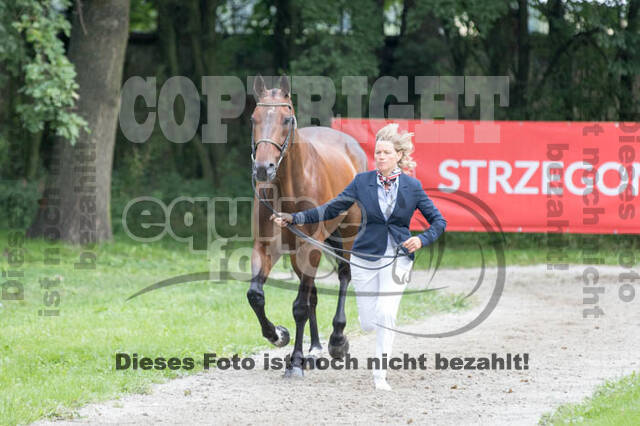 FEI European Championship Eventing 2017