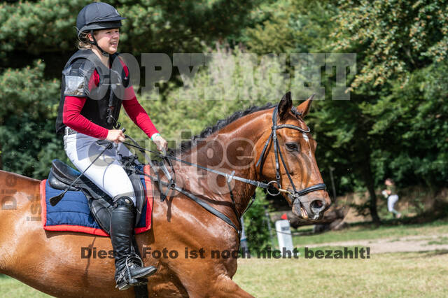 Late-Entry-Vielseitigkeit Langenfeld (11.+13./14.06.2020)