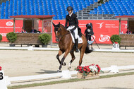 FEI European Championship Eventing 2017