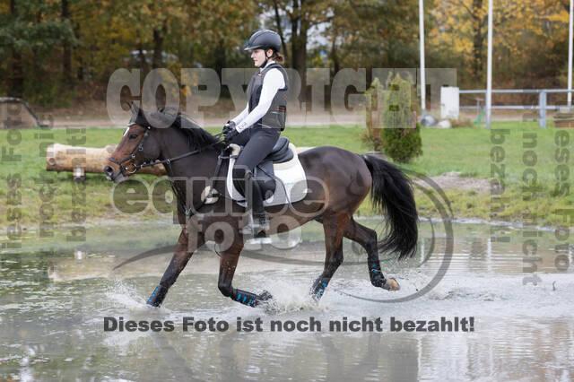 IGV Lehrgang der Sieger der Cups mit Frank Ostholt
