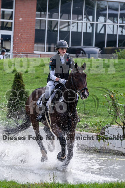 Goldene Schärpe 2020 - Pferde