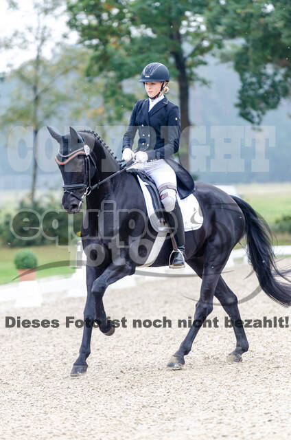 Deutsche Meisterschaft Vielseitigkeit (Luhmühlen)