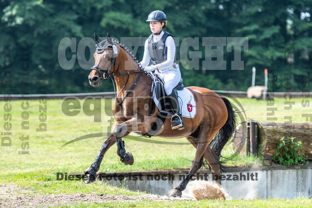 Goldene Schärpe 2021 - Ponys