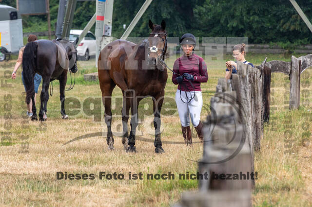 Late-Entry Vielseitigkeit Hamminkeln/Wesel (01.+02.08.2020)