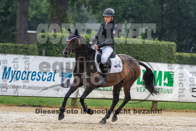 Goldene Schärpe 2021 - Ponys