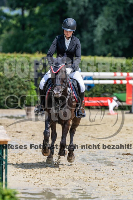 Goldene Schärpe 2021 - Ponys