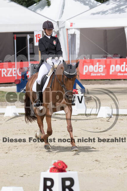 FEI European Championship Eventing 2017