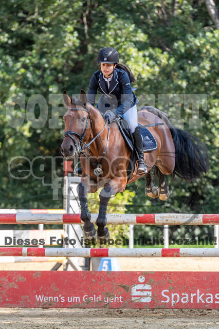 RFV Dinslaken-Hiesfeld (Herbstturnier)