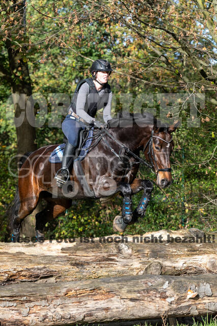 IGV Lehrgang der Sieger der Cups mit Frank Ostholt