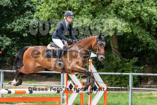 Late-Entry-Vielseitigkeit Langenfeld (06.+07.07.2020)