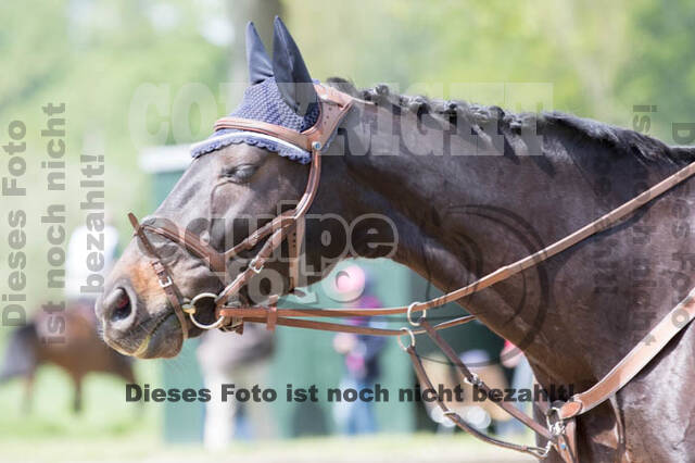 Vielseitigkeitsturnier RuFV Rheurdt