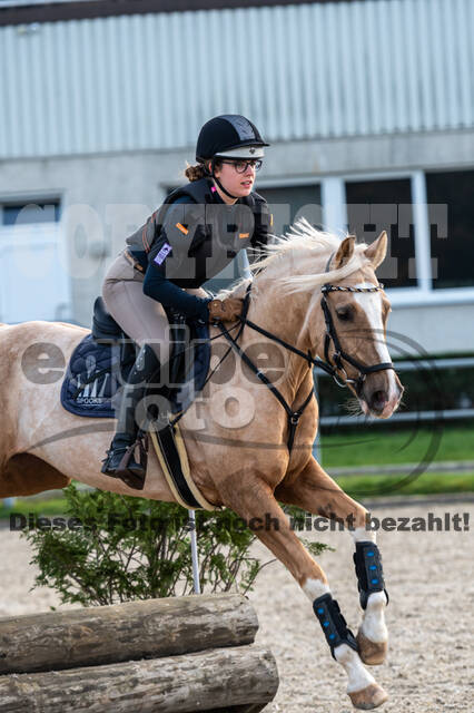 IGV Lehrgang der Sieger der Cups mit Frank Ostholt