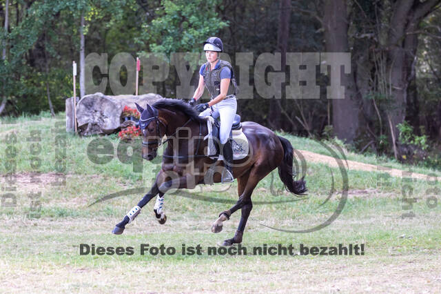 Late-Entry Vielseitigkeit Hamminkeln/Wesel (01.+02.08.2020)