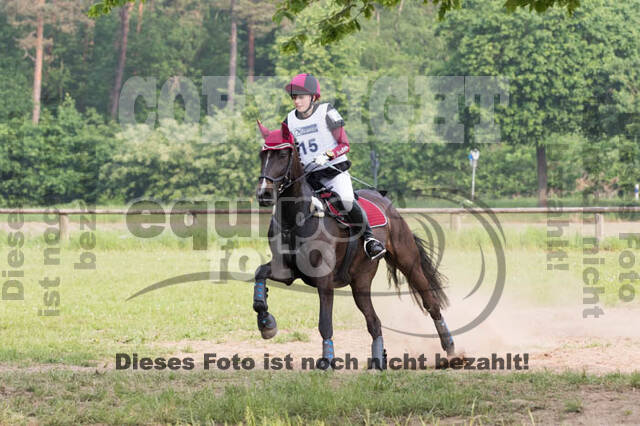 Vielseitigkeitsturnier ZRFV von Lützow Hamminkeln