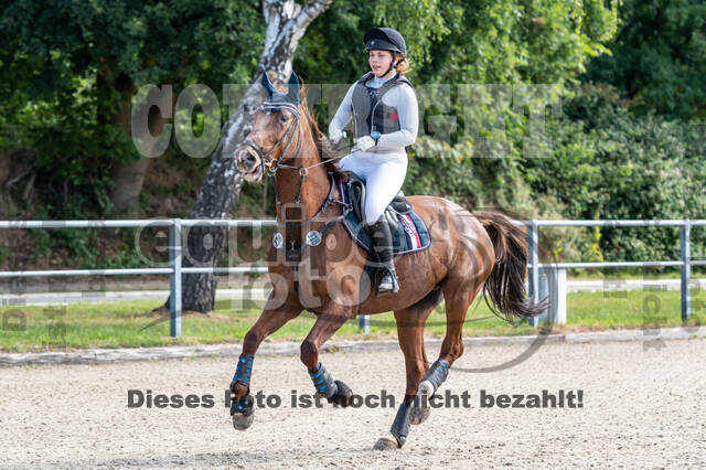 Late-Entry-Vielseitigkeit Langenfeld (11.+13./14.06.2020)