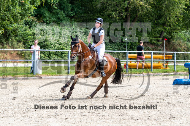 Late-Entry-Vielseitigkeit Langenfeld (11.+13./14.06.2020)
