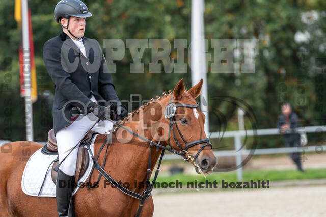 Goldene Schärpe 2020 - Pferde