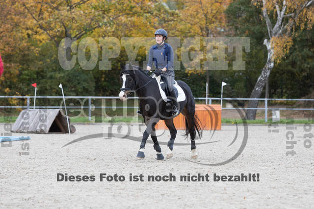 IGV Lehrgang der Sieger der Cups mit Frank Ostholt