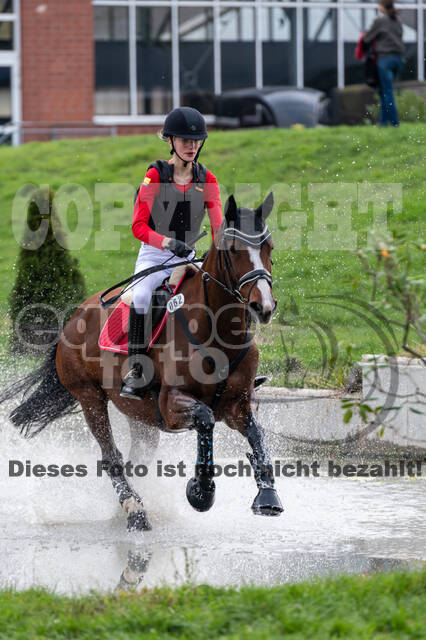 Goldene Schärpe 2020 - Pferde