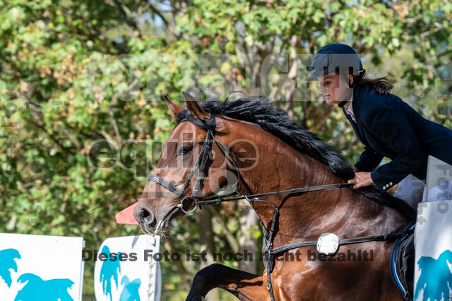 RFV Dinslaken-Hiesfeld (Herbstturnier)