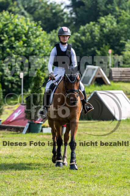 Goldene Schärpe 2021 - Ponys