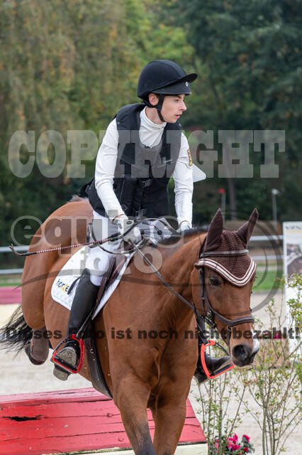 Goldene Schärpe 2020 - Pferde