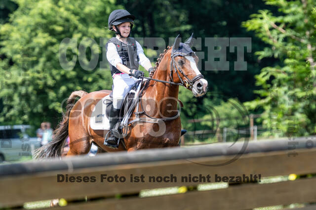 Goldene Schärpe 2021 - Ponys